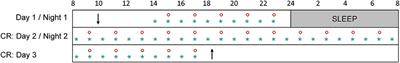 Baseline Pupil Diameter Is Not a Reliable Biomarker of Subjective Sleepiness